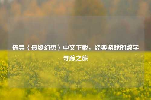 探寻〈最终幻想〉中文下载,经典游戏的数字寻踪之旅