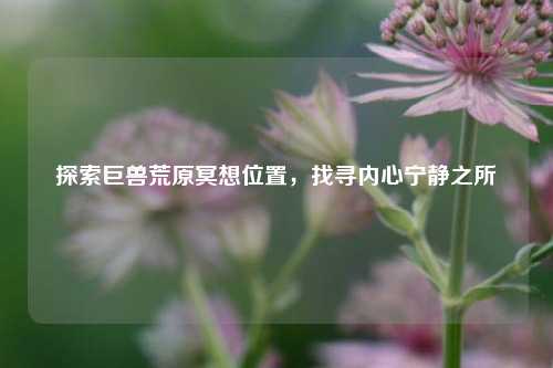 探索巨兽荒原冥想位置,找寻内心宁静之所