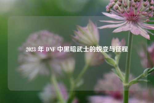 2023 年 DNF 中黑暗武士的蜕变与征程