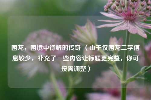 困龙,困境中待解的传奇 (由于仅困龙二字信息较少,补充了一些内容让标题更完整,你可按需调整)