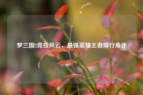 梦三国2竞技风云,最强英雄王者排行角逐