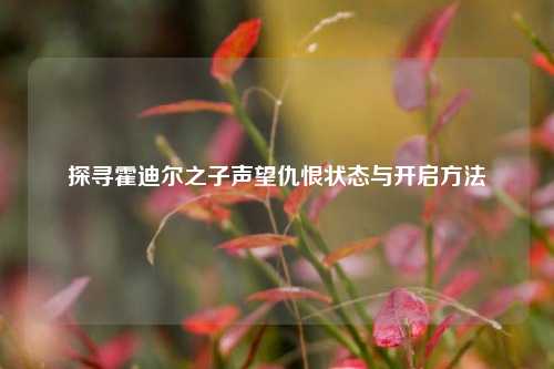 探寻霍迪尔之子声望仇恨状态与开启方法