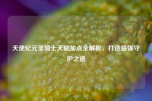 天使纪元圣骑士天赋加点全解析,打造最强守护之道