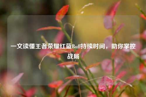 一文读懂王者荣耀红蓝Buff持续时间,助你掌控战局