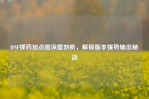 DNF弹药加点图深度剖析,解锁版本强势输出秘诀