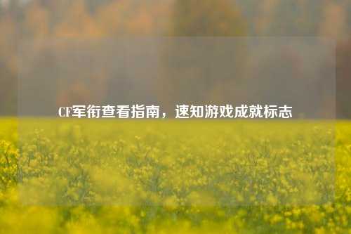 CF军衔查看指南,速知游戏成就标志