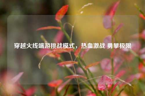 穿越火线端游挑战模式,热血激战 勇攀极限