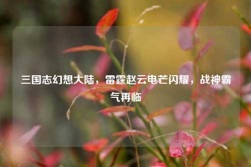 三国志幻想大陆,雷霆赵云电芒闪耀,战神霸气再临
