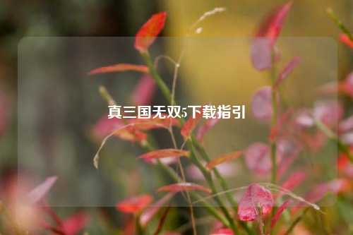真三国无双5下载指引