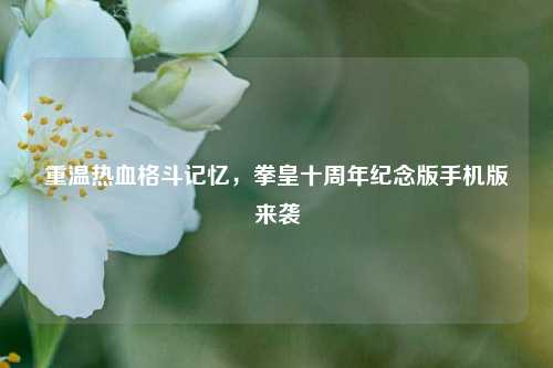 重温热血格斗记忆,拳皇十周年纪念版手机版来袭