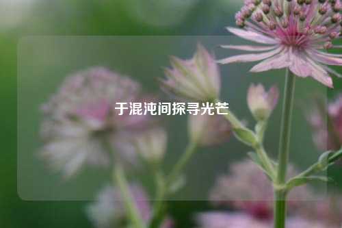 于混沌间探寻光芒