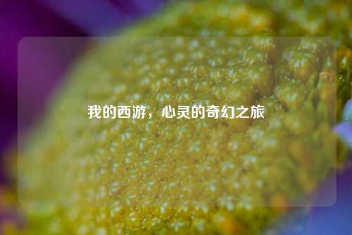 我的西游,心灵的奇幻之旅