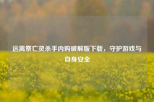 远离祭亡灵杀手内购破解版下载,守护游戏与自身安全