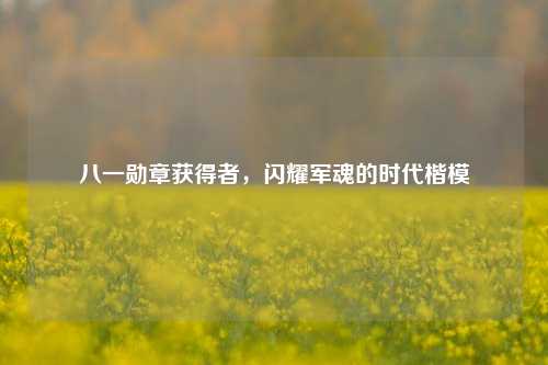 八一勋章获得者,闪耀军魂的时代楷模
