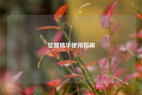 觉醒精华使用指南