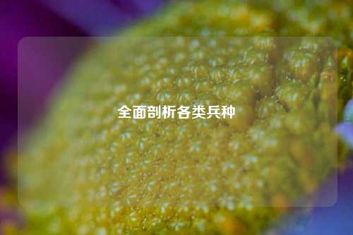 全面剖析各类兵种