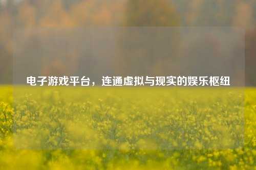 电子游戏平台,连通虚拟与现实的娱乐枢纽