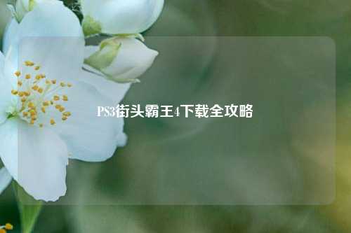 PS3街头霸王4下载全攻略