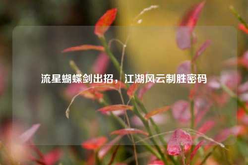 流星蝴蝶剑出招,江湖风云制胜密码