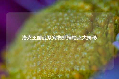 洛克王国武系宠物抓捕地点大揭秘