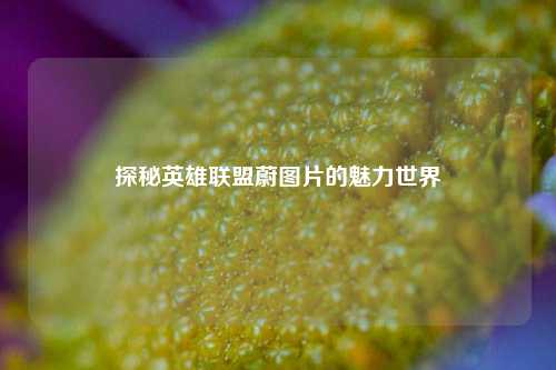探秘英雄联盟蔚图片的魅力世界