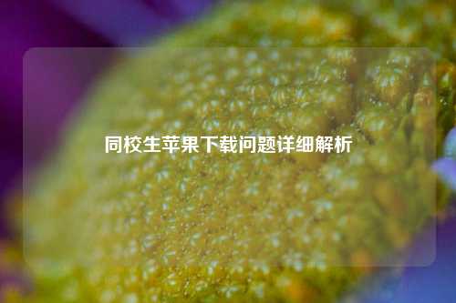 同校生苹果下载问题详细解析