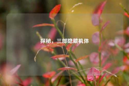 探秘,三部隐藏机体