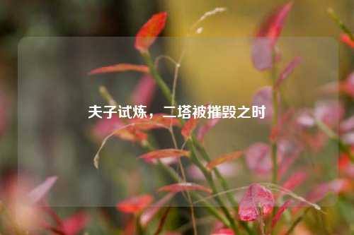 夫子试炼,二塔被摧毁之时