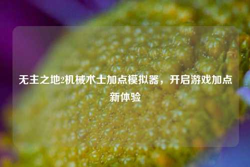 无主之地2机械术士加点模拟器,开启游戏加点新体验