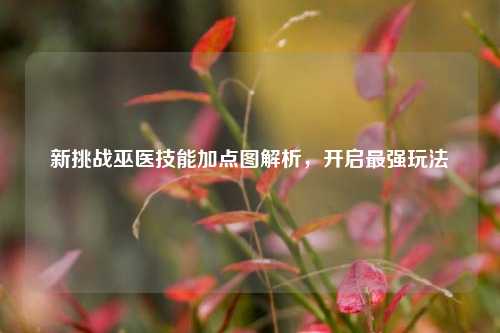 新挑战巫医技能加点图解析,开启最强玩法
