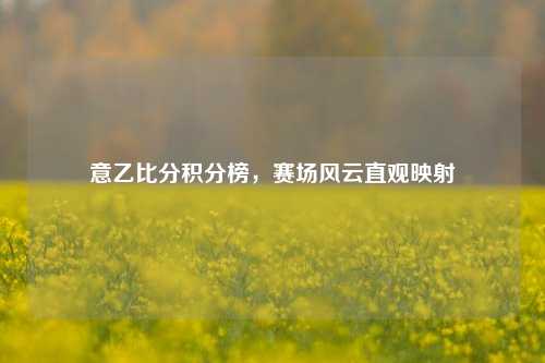 意乙比分积分榜,赛场风云直观映射