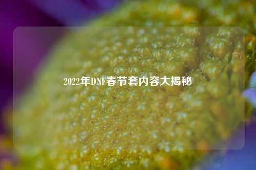 2022年DNF春节套内容大揭秘