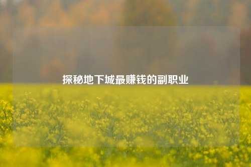 探秘地下城最赚钱的副职业