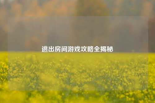 逃出房间游戏攻略全揭秘