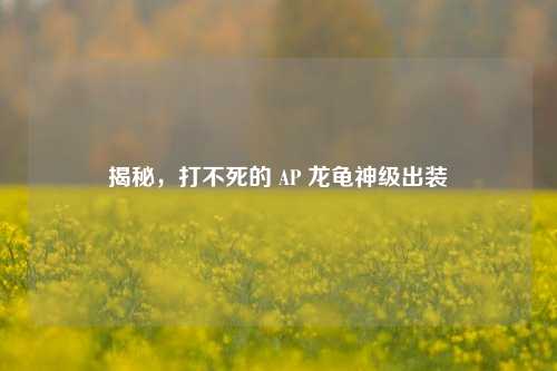 揭秘,打不死的 AP 龙龟神级出装