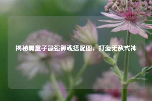 揭秘黑童子最强御魂搭配图,打造无敌式神