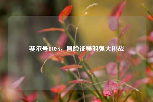 赛尔号BOSS,冒险征程的强大挑战
