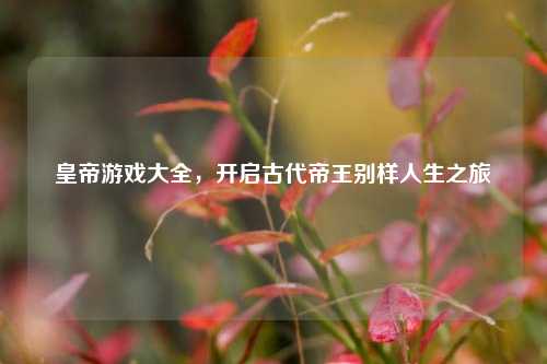 皇帝游戏大全,开启古代帝王别样人生之旅