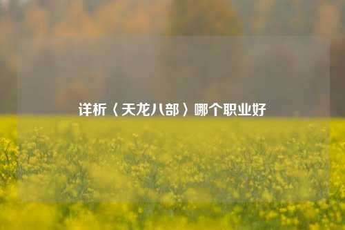 详析〈天龙八部〉哪个职业好