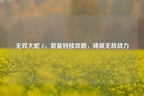 无双大蛇 Z,装备特技攻略,铸就无敌战力