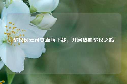 楚汉风云录安卓版下载,开启热血楚汉之旅