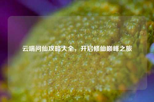 云端问仙攻略大全,开启修仙巅峰之旅