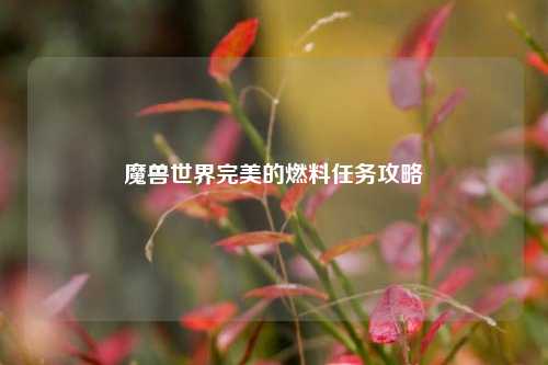 魔兽世界完美的燃料任务攻略