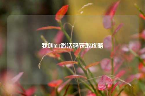 我叫MT激活码获取攻略