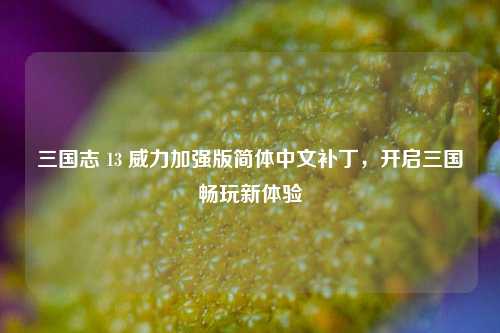 三国志 13 威力加强版简体中文补丁,开启三国畅玩新体验
