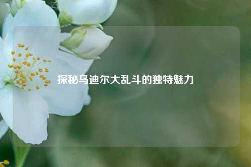 探秘乌迪尔大乱斗的独特魅力