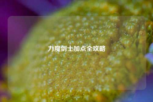 力魔剑士加点全攻略