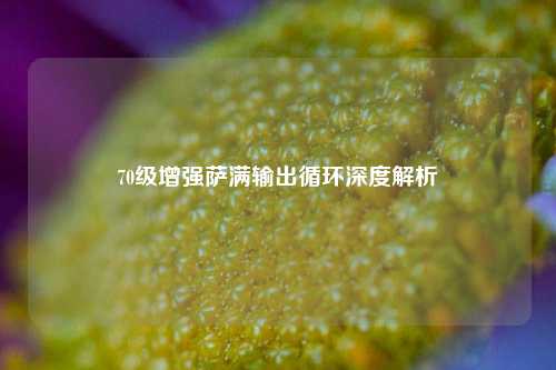 70级增强萨满输出循环深度解析