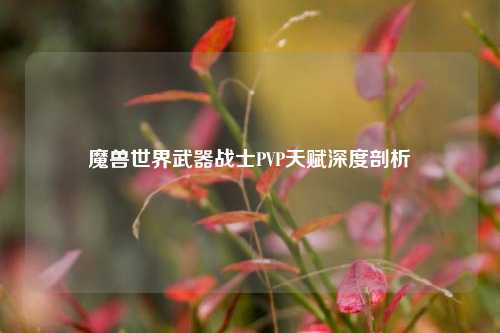 魔兽世界武器战士PVP天赋深度剖析