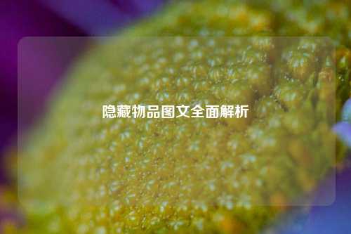 隐藏物品图文全面解析